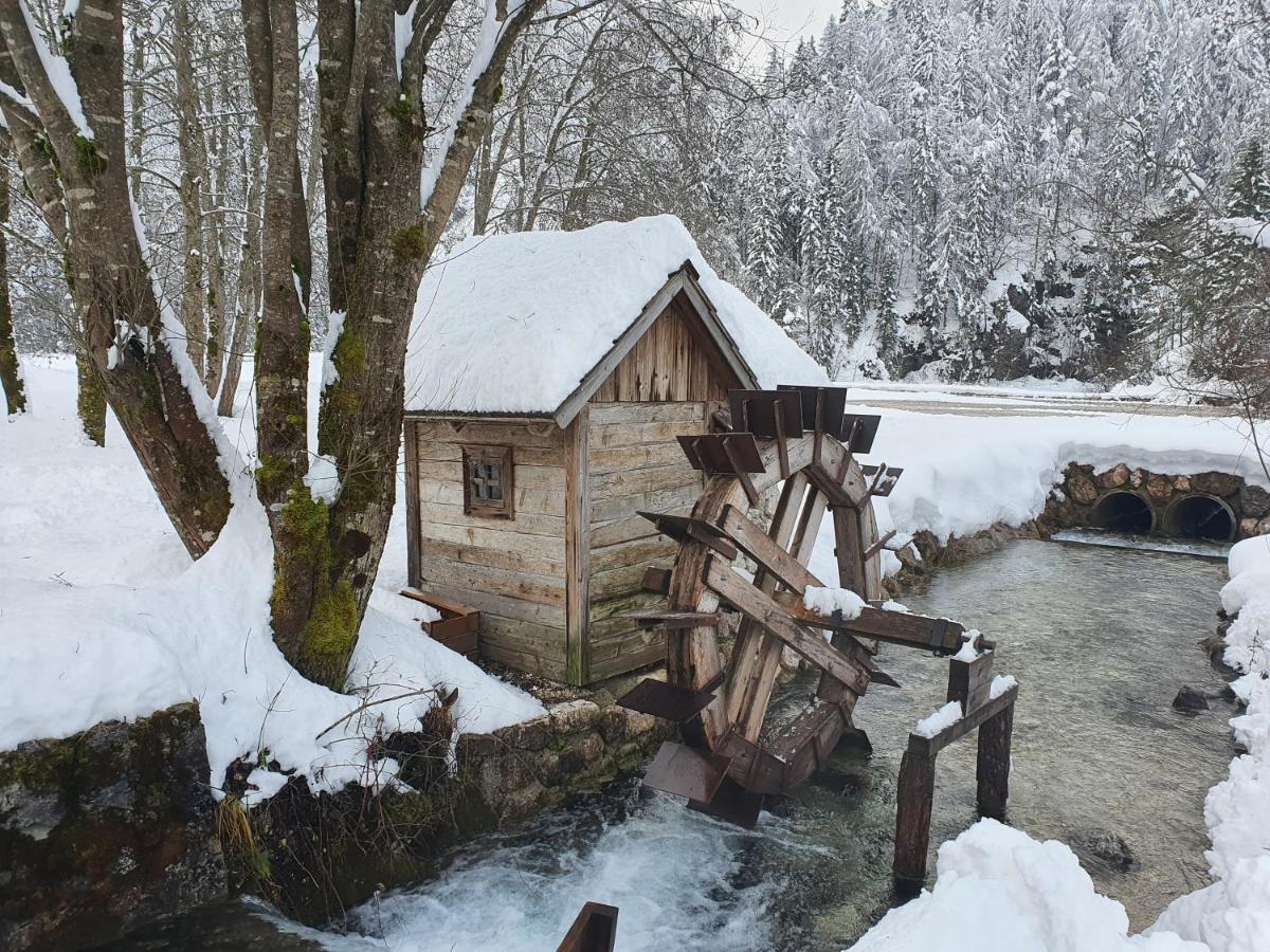 Apartma Lenka Kranjska Gora Exterior foto
